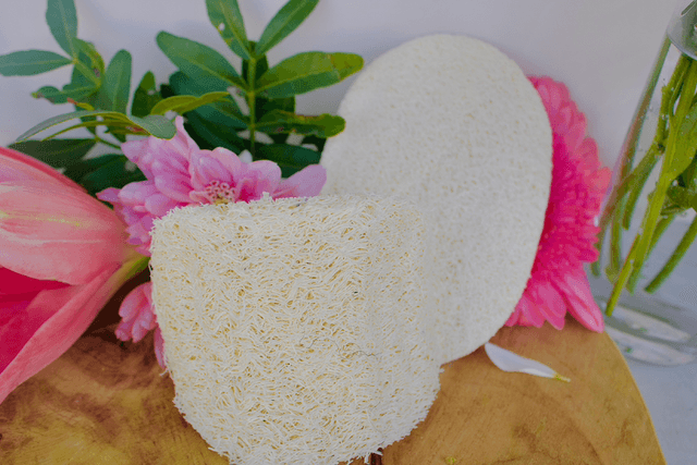 ÉPONGE LOOFAH 