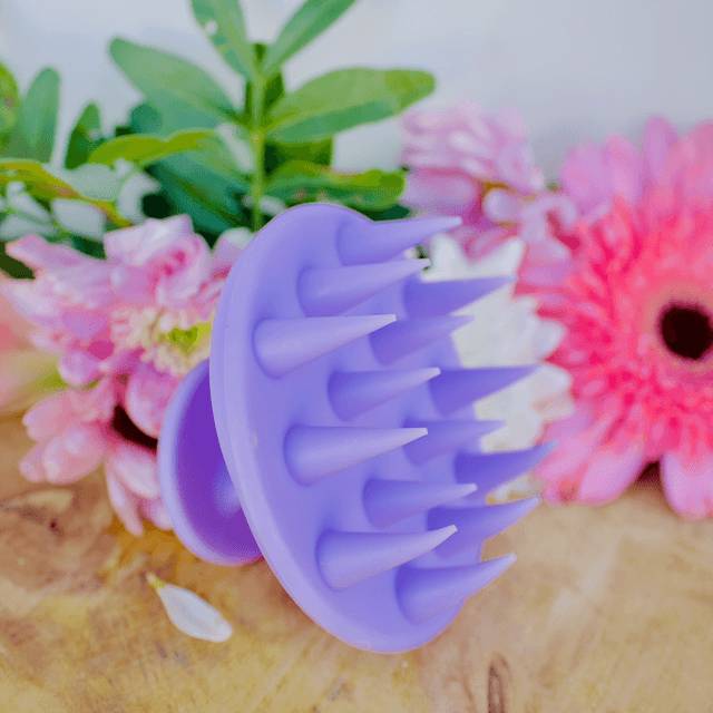 BROSSE MASSANTE